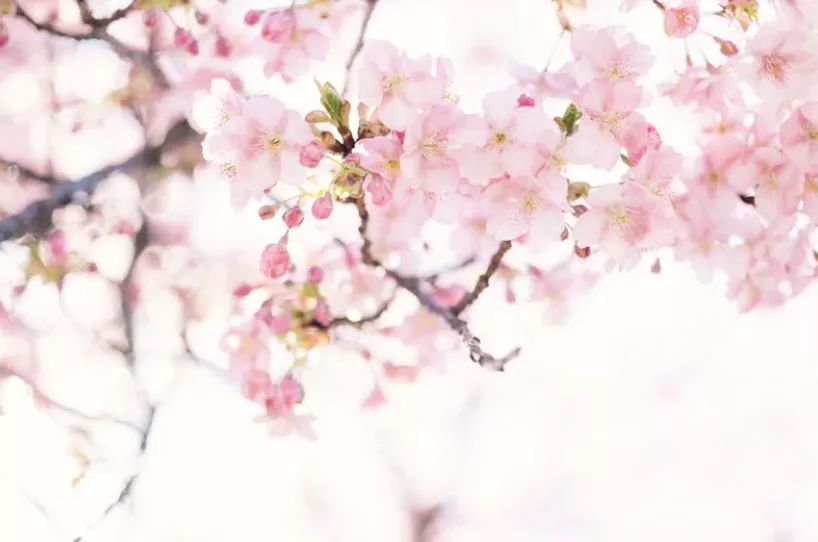 云南师范大学(微信)