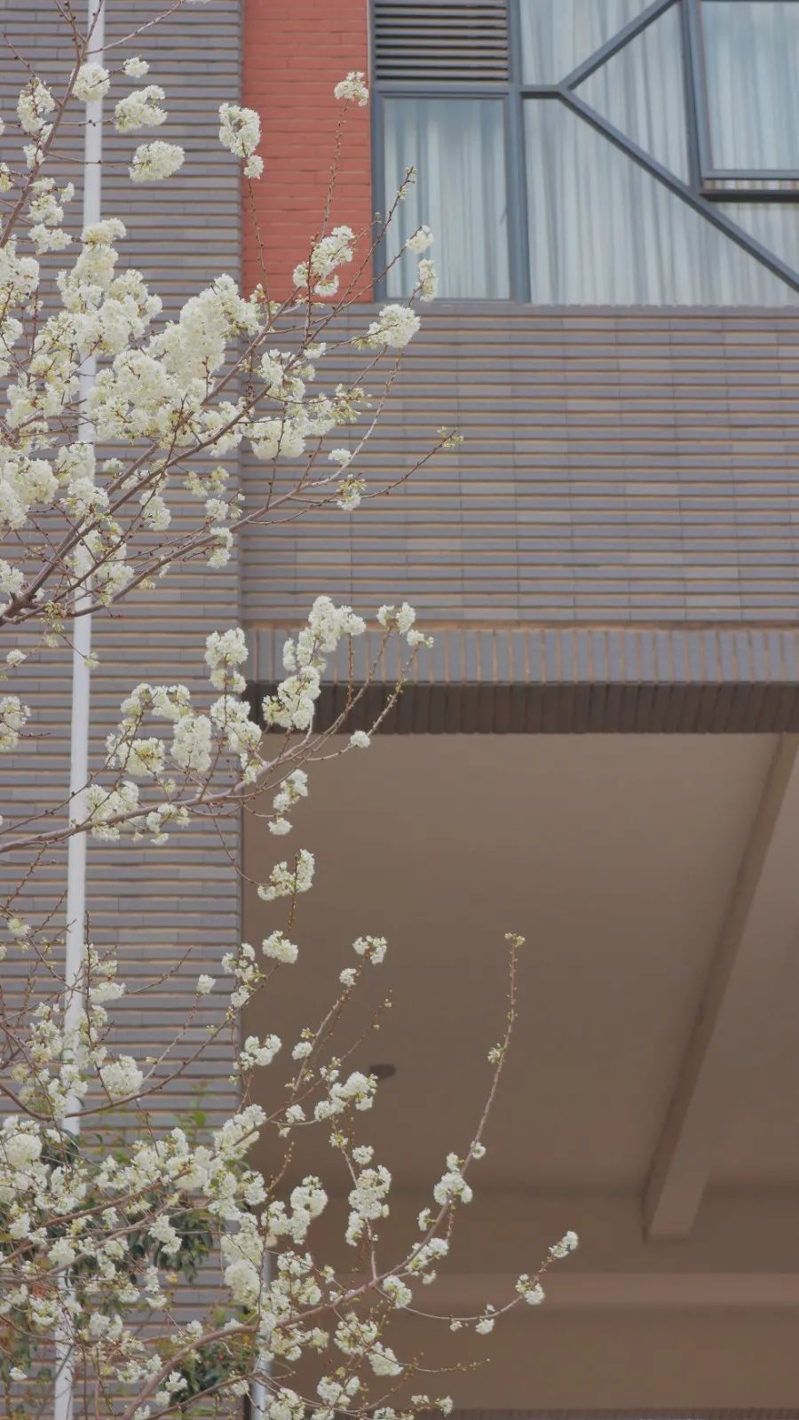 云南师范大学(微信)