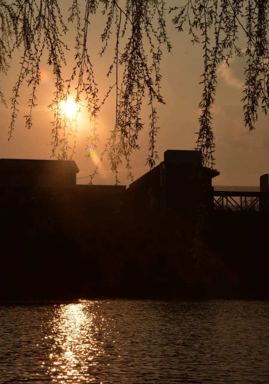 云南师范大学(微信)