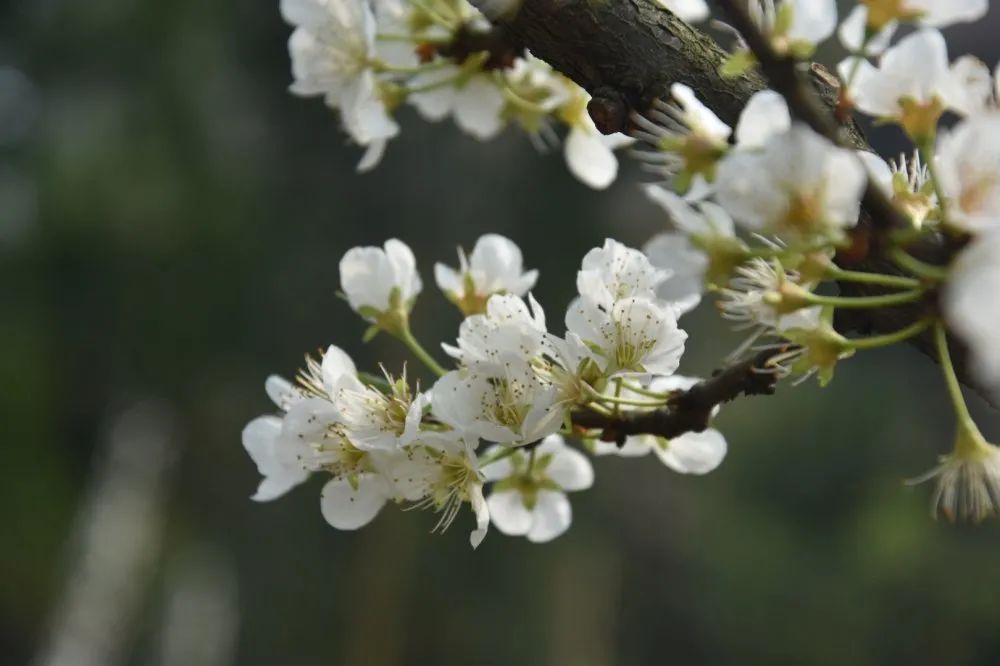 云南师范大学(微信)