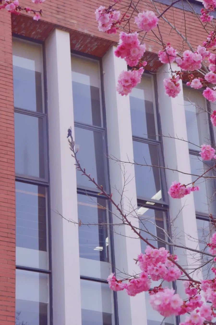 云南师范大学(微信)