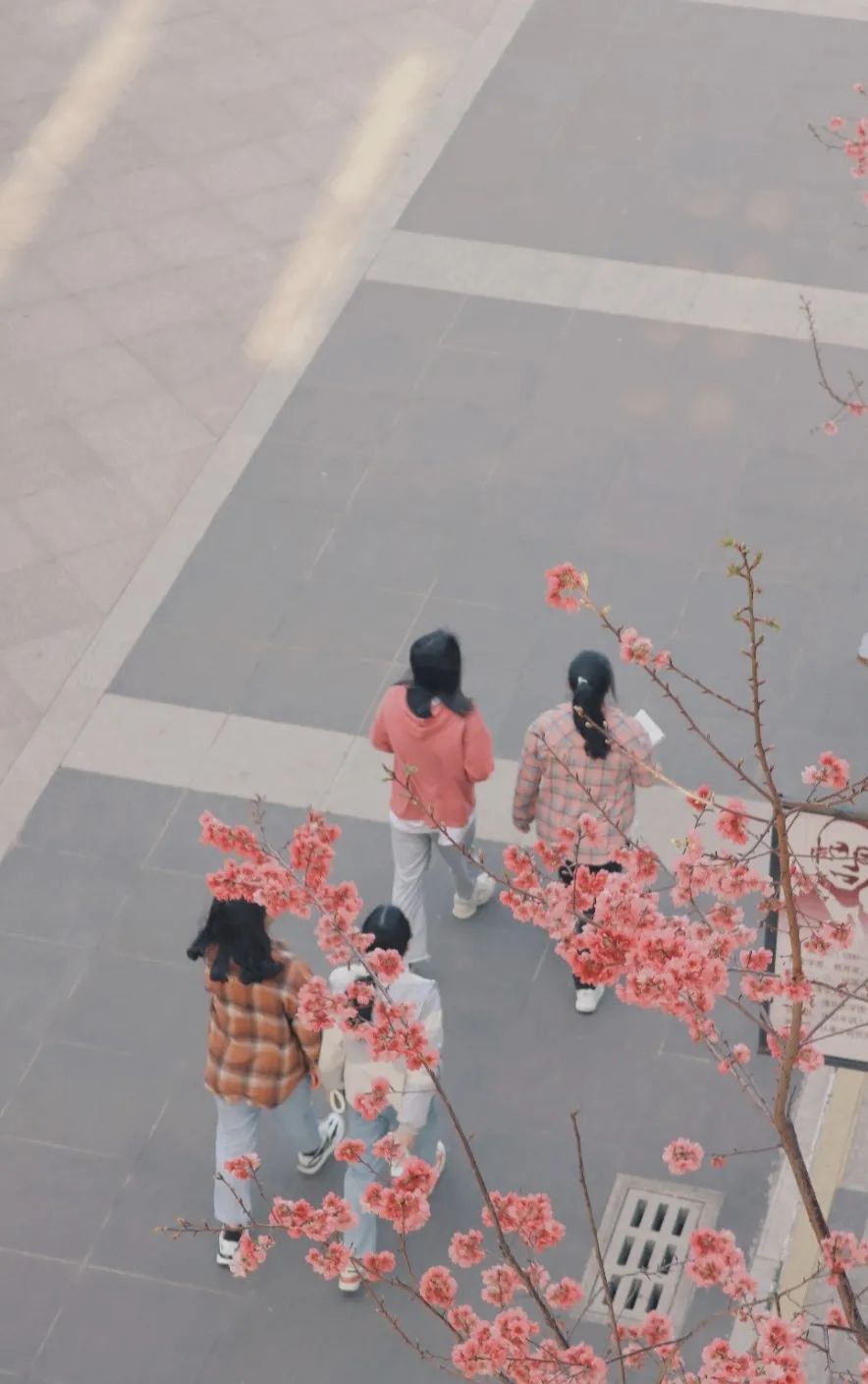 云南师范大学(微信)