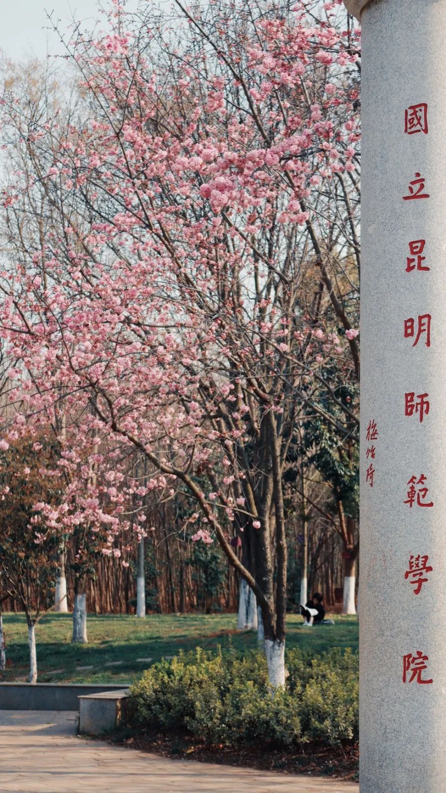 云南师范大学(微信)