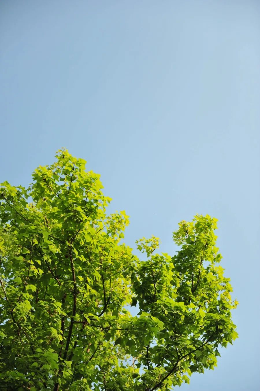 云南师范大学(微信)