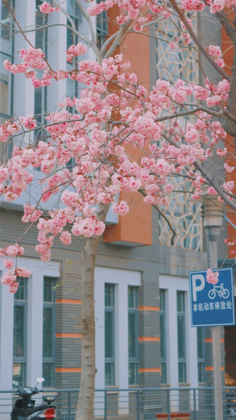云南师范大学(微信)