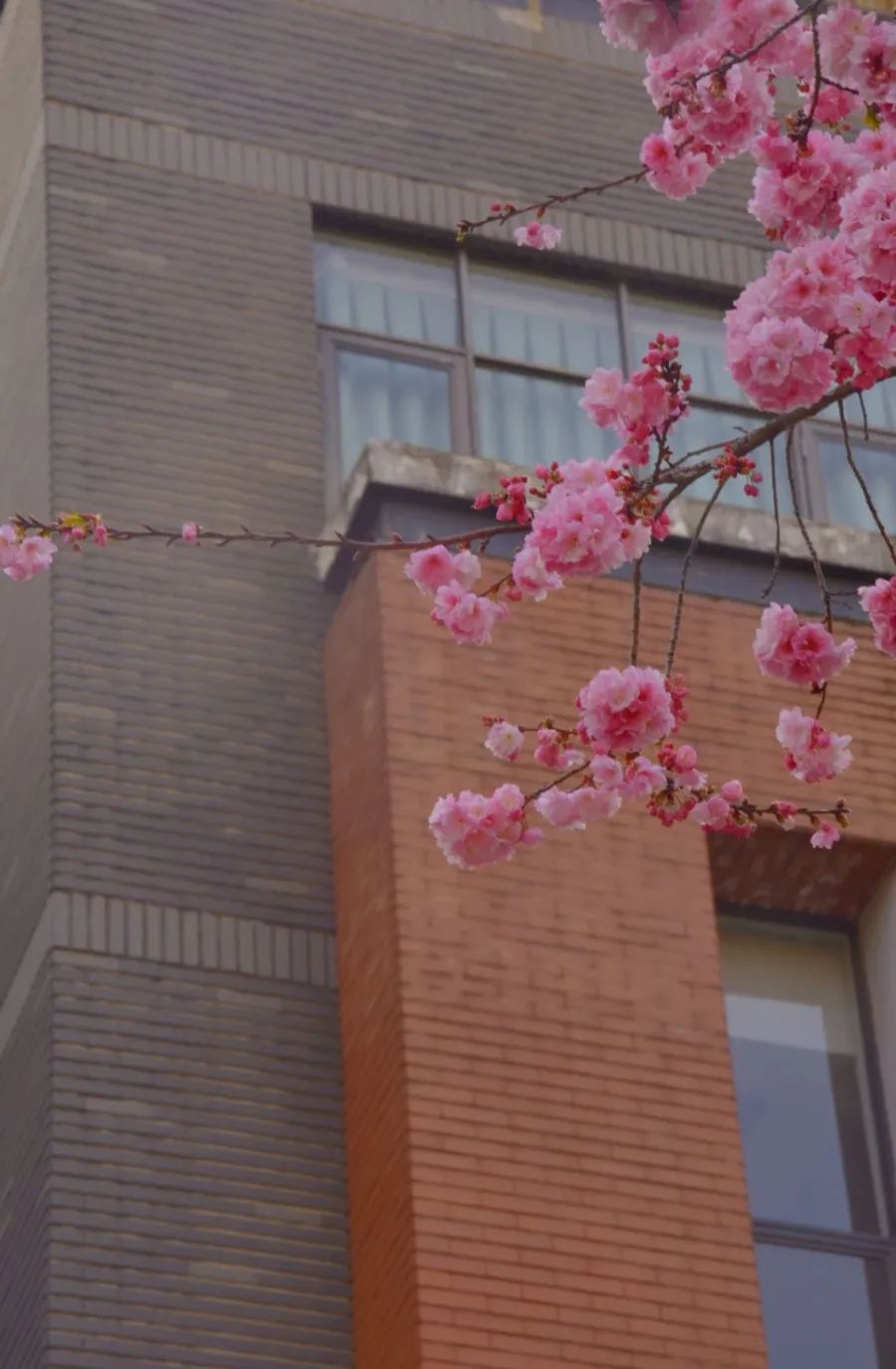 云南师范大学(微信)