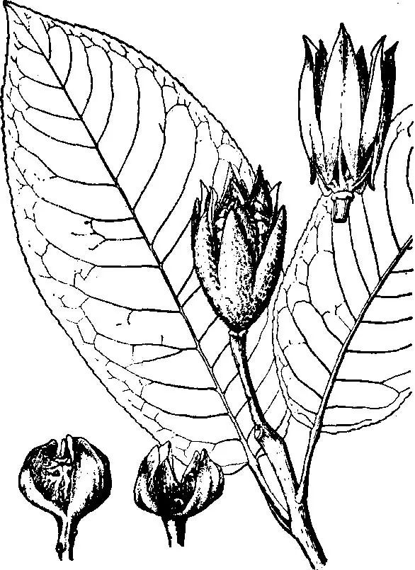 西南林业大学(微信)