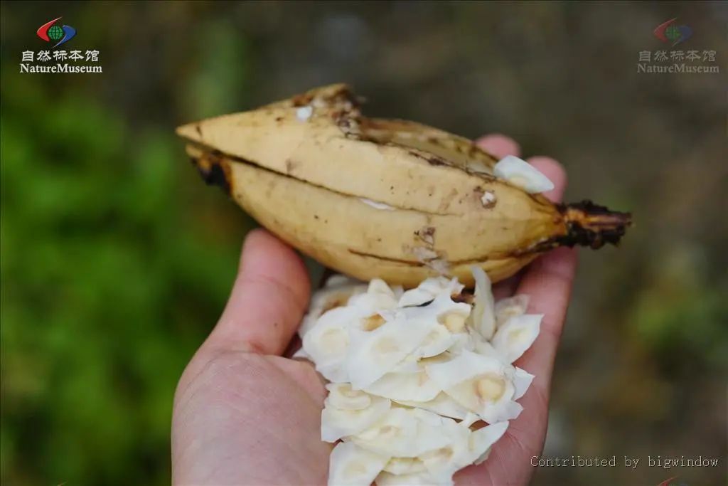 西南林业大学(微信)