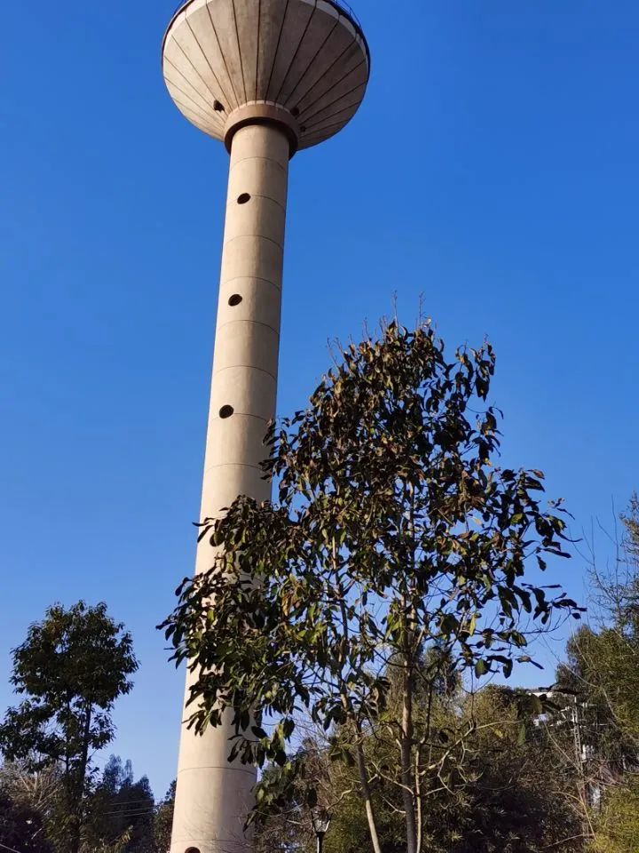 西南林业大学(微信)