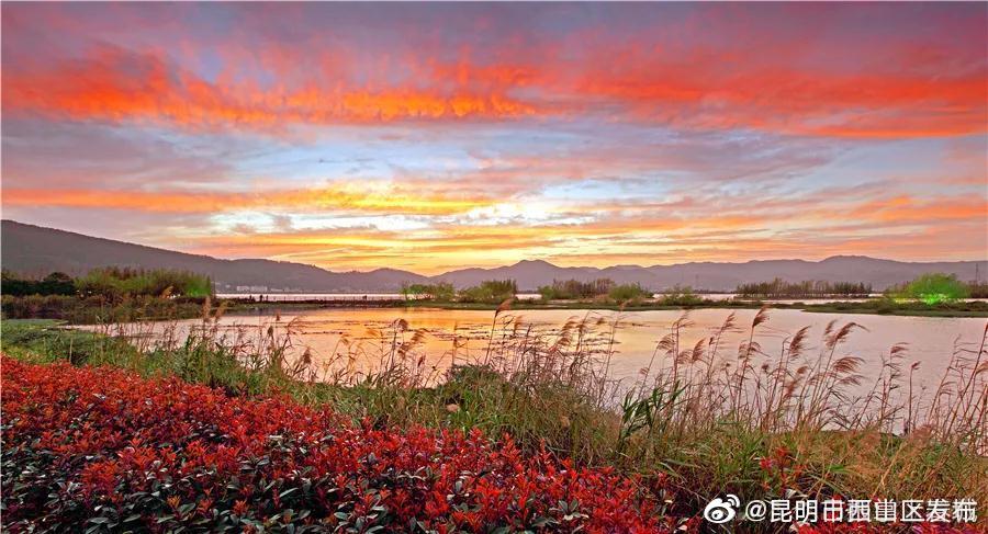 “昆明市西山区发布”微博