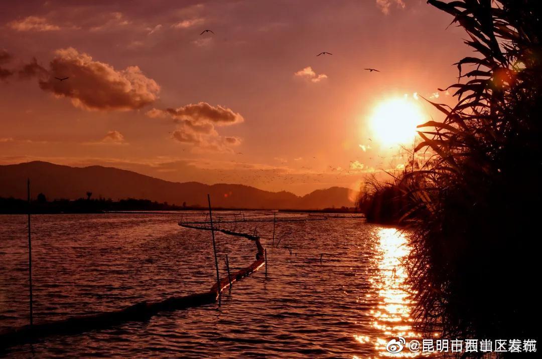 “昆明市西山区发布”微博