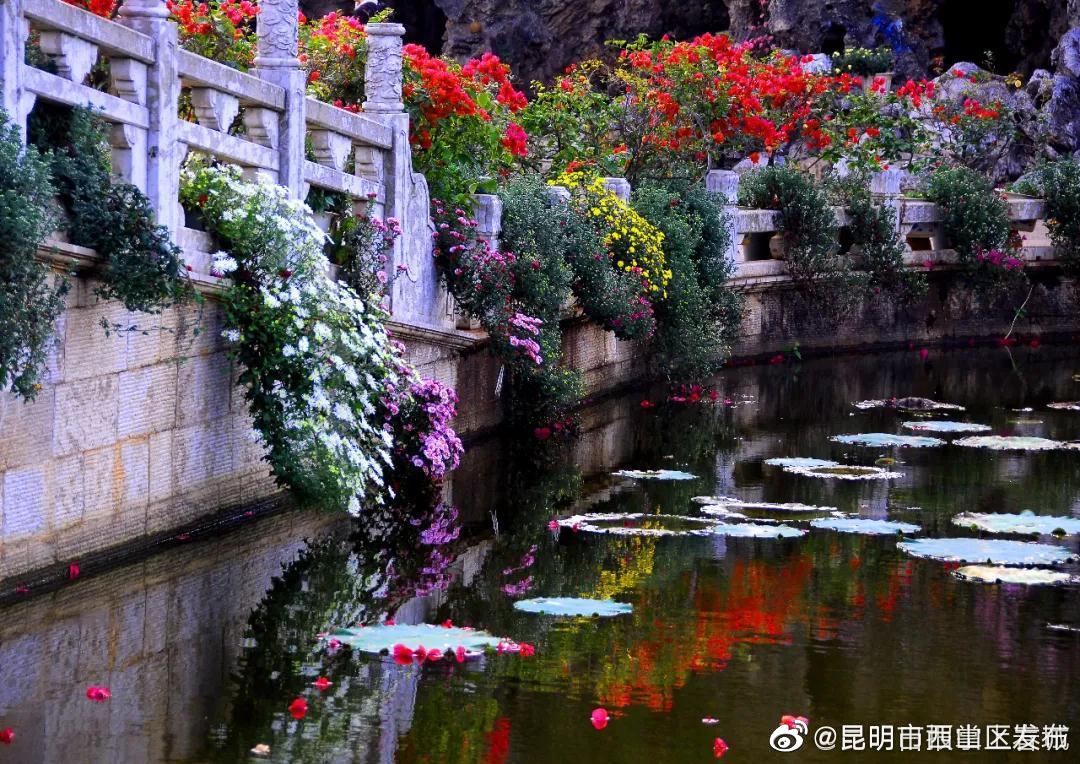 “昆明市西山区发布”微博