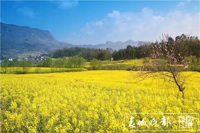 春城晚报(微信)