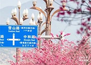 春城晚报(微信)