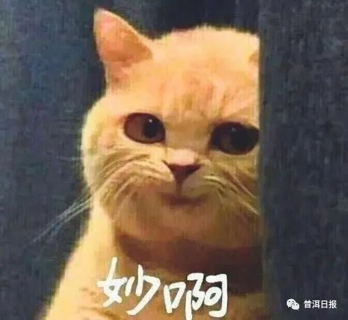 普洱日报(微信)
