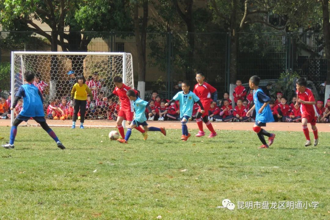 昆明市盘龙区明通小学(微信)