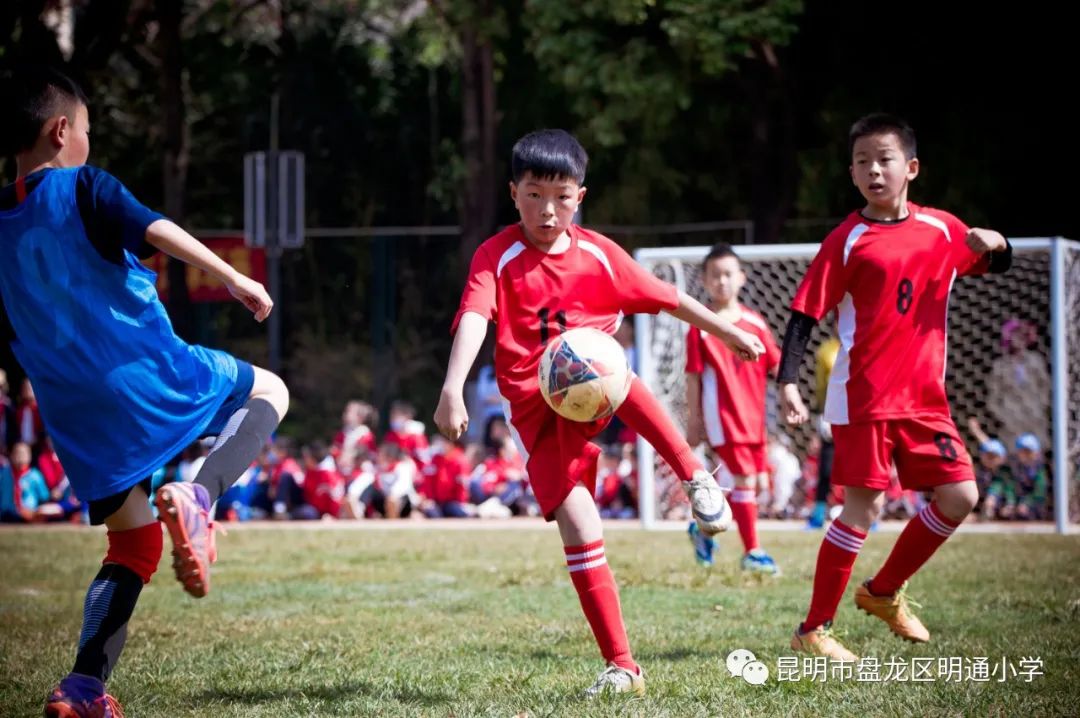昆明市盘龙区明通小学(微信)