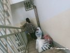 “昆明市西山区发布”微博