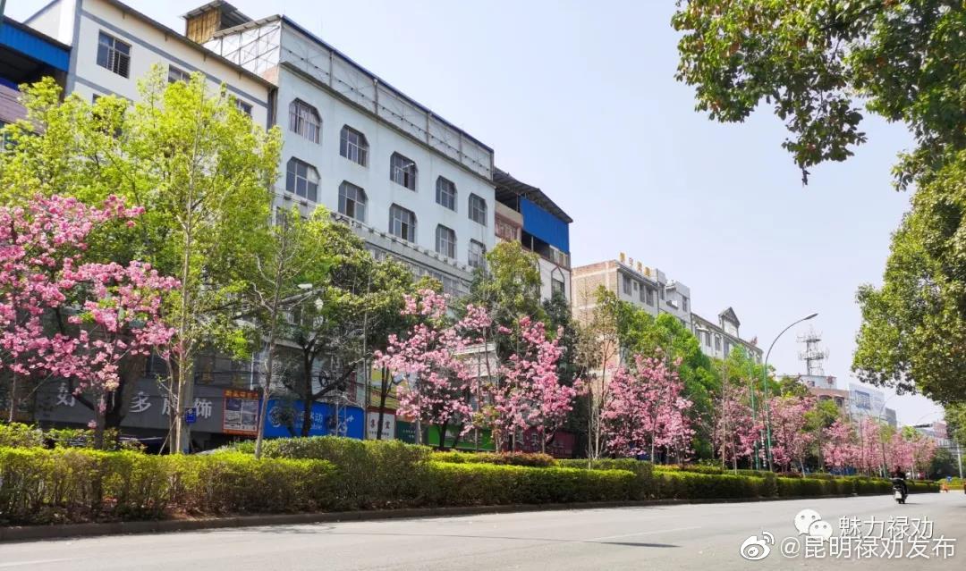 “昆明禄劝发布”微博