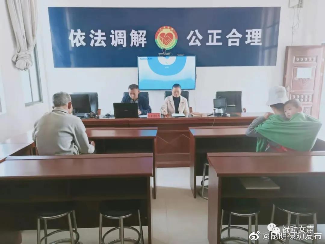 九龙妇联司法携手化解“家暴”纠纷