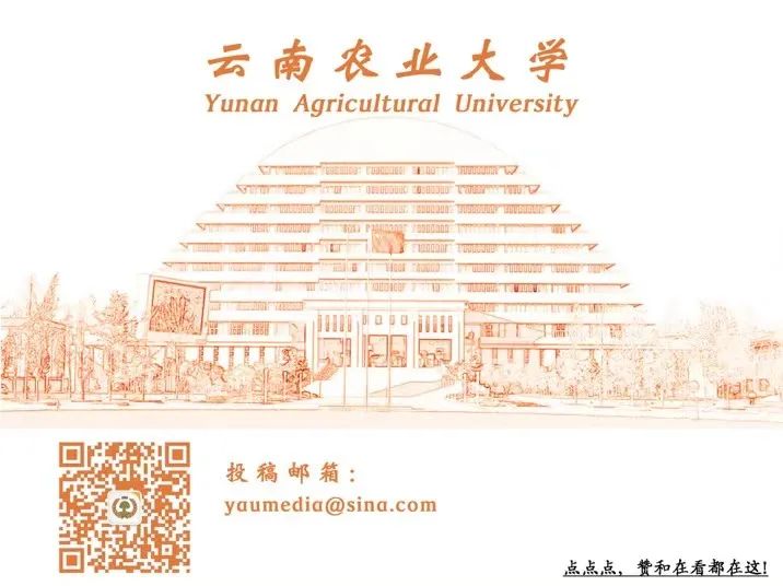 云南农业大学(微信)
