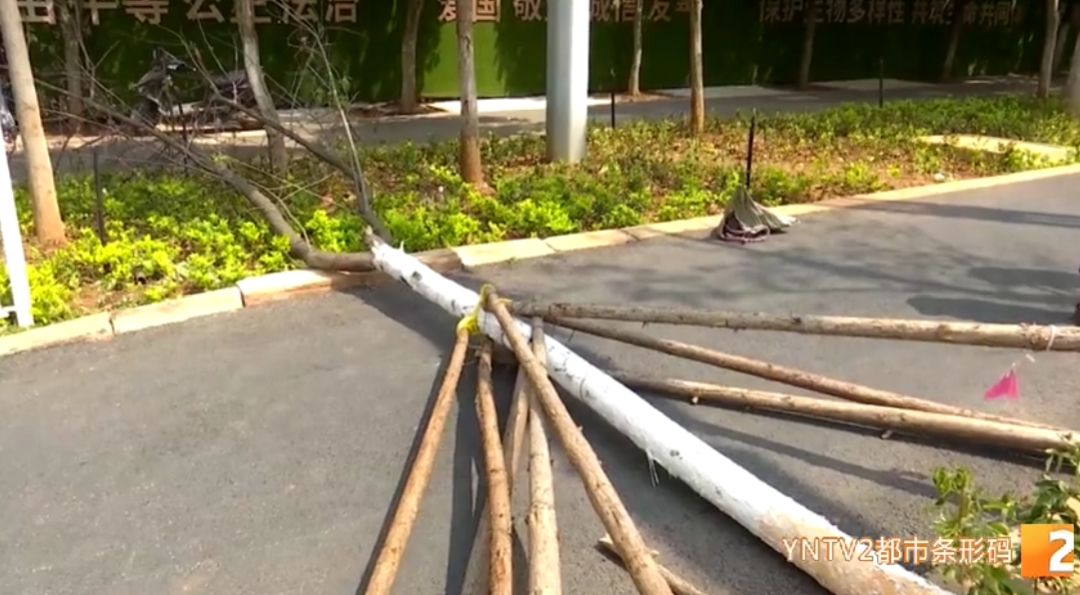 云南广播电视台(微信)