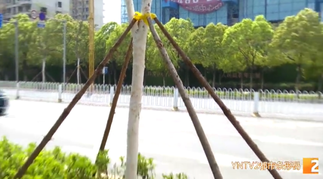 云南广播电视台(微信)