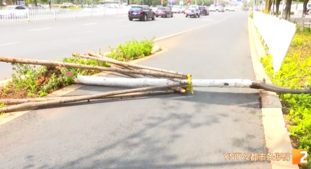 云南广播电视台(微信)