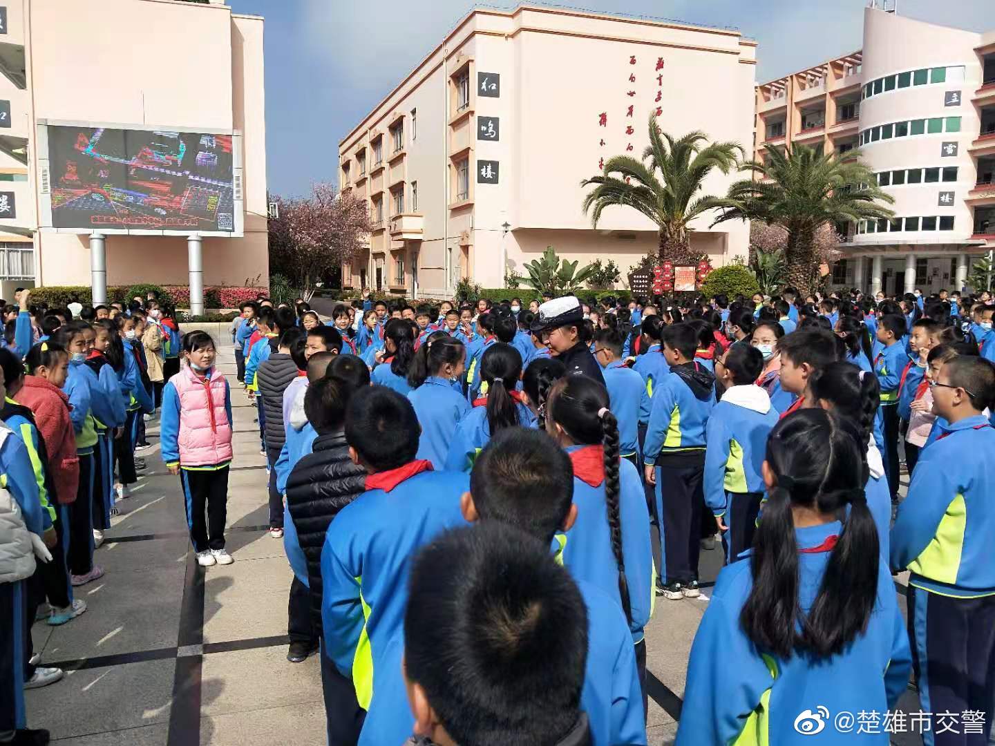 楚雄市交警微博