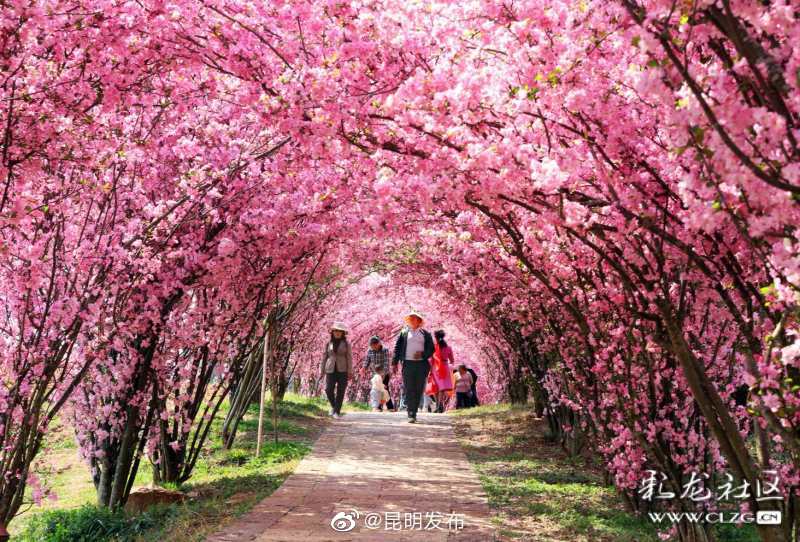 “昆明发布”微博