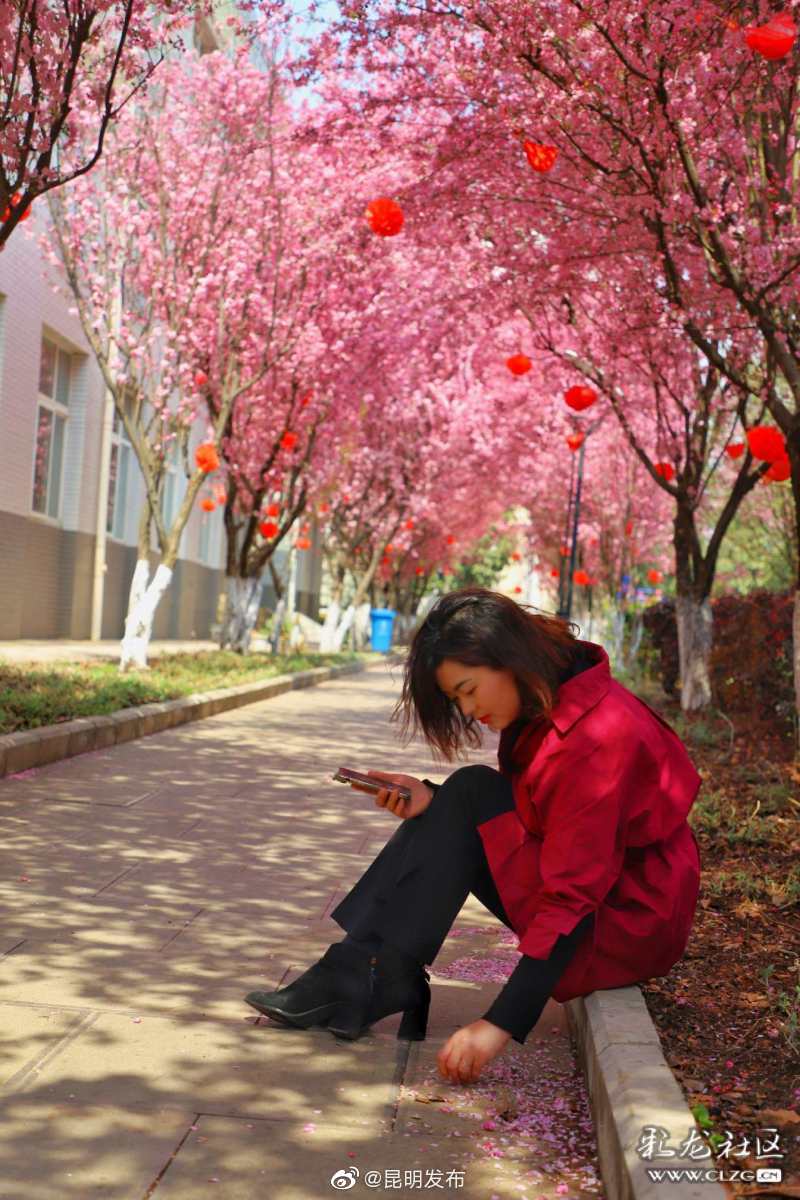 “昆明发布”微博