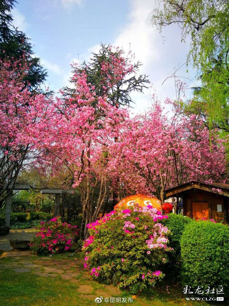 “昆明发布”微博