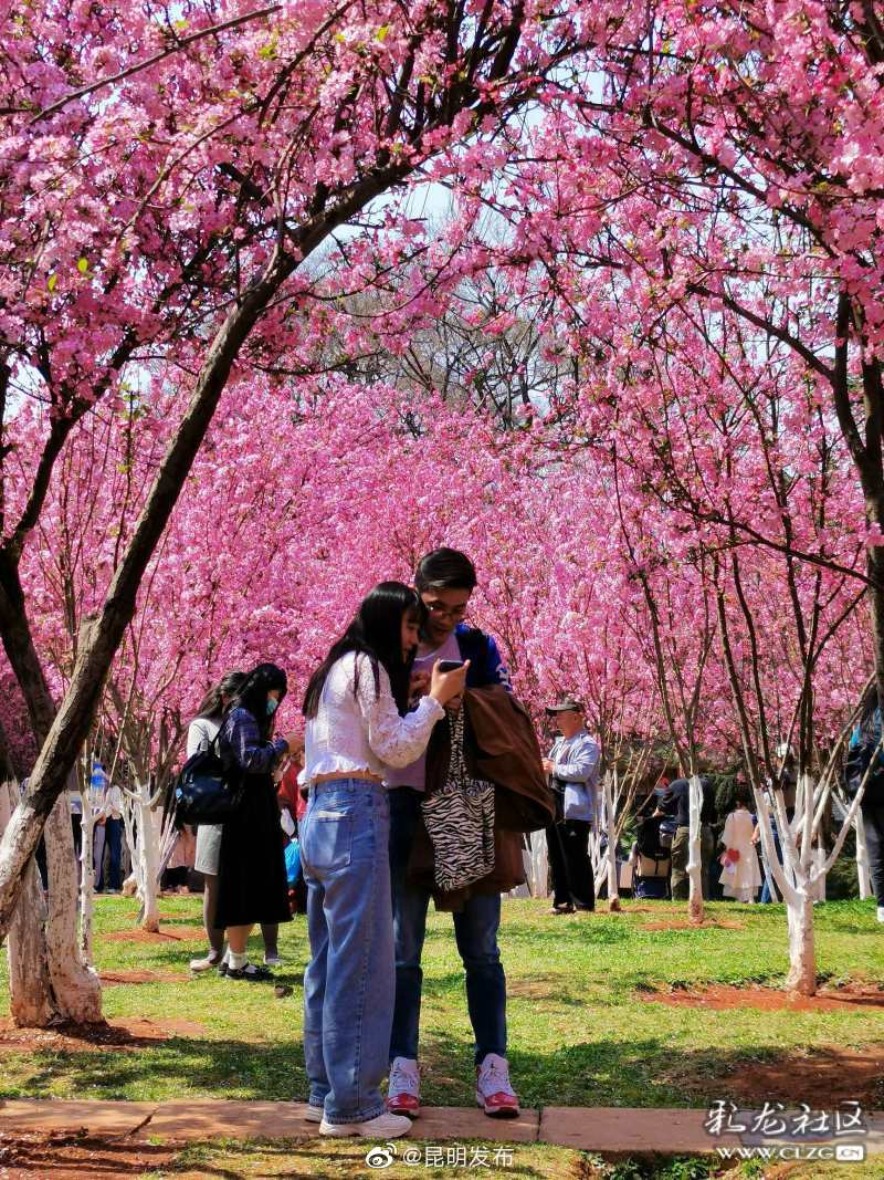 “昆明发布”微博