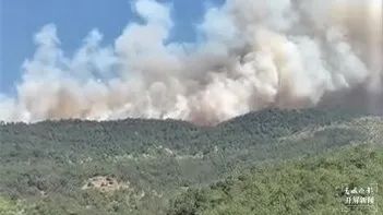 春城晚报(微信)