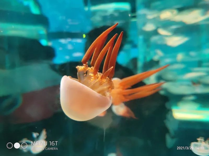 新迎中学(微信)