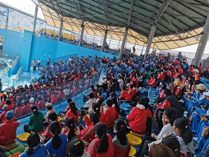 新迎中学(微信)