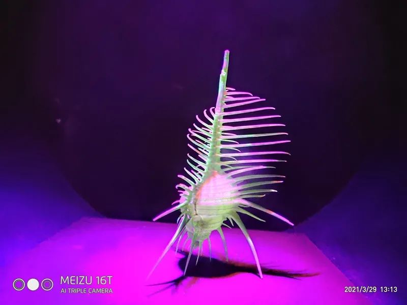 新迎中学(微信)