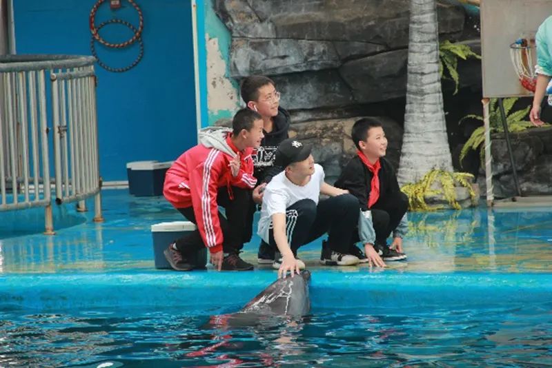 新迎中学(微信)