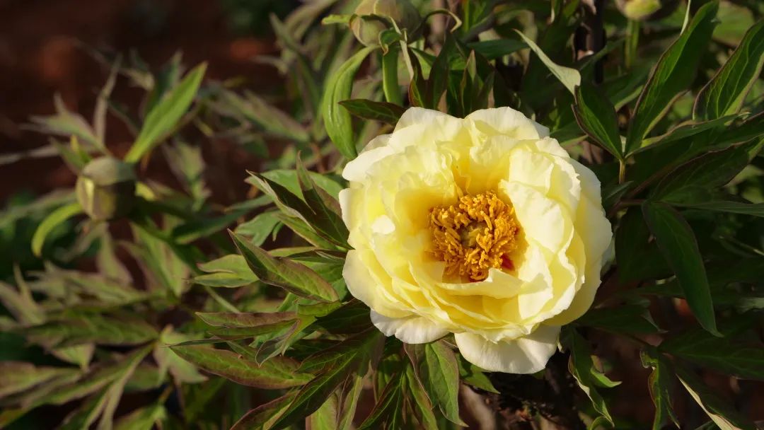 昆明阳宗海风景名胜区(微信)