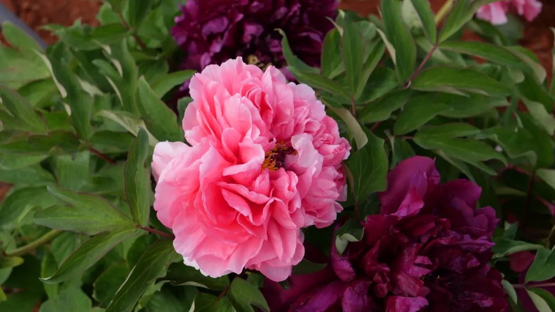 昆明阳宗海风景名胜区(微信)