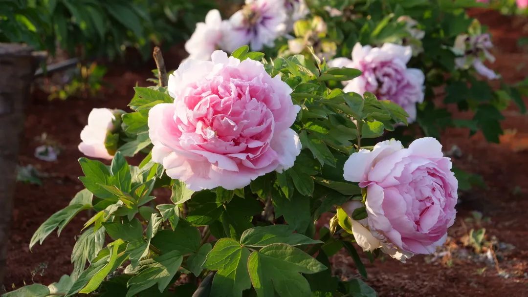 昆明阳宗海风景名胜区(微信)