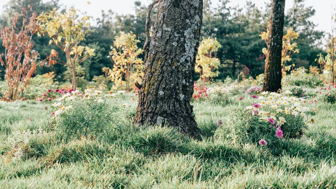 昆明阳宗海风景名胜区(微信)