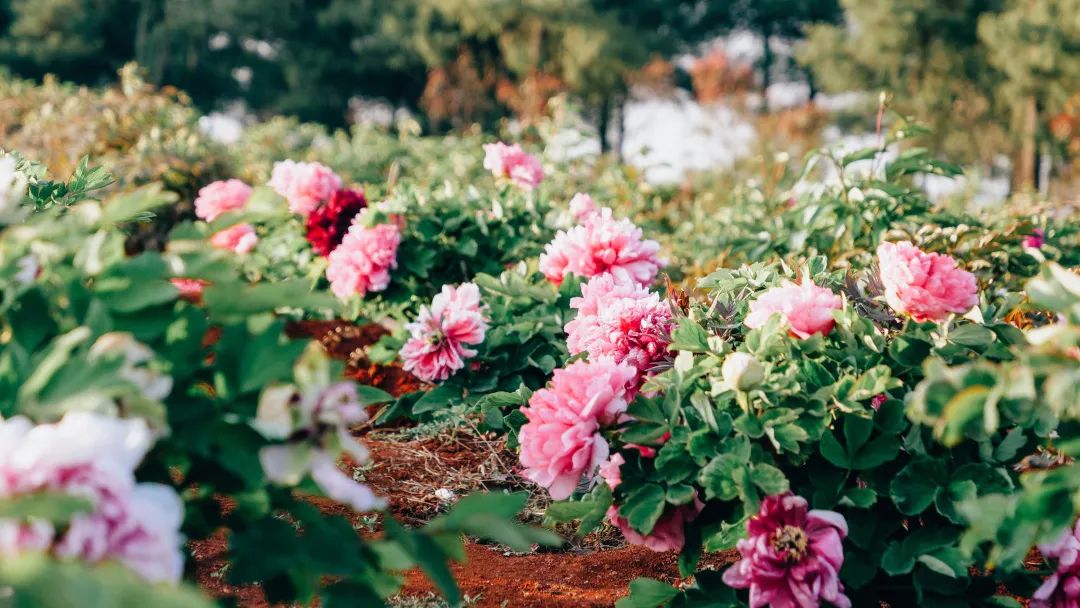 昆明阳宗海风景名胜区(微信)