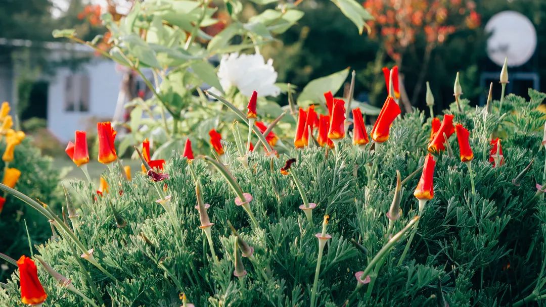 昆明阳宗海风景名胜区(微信)