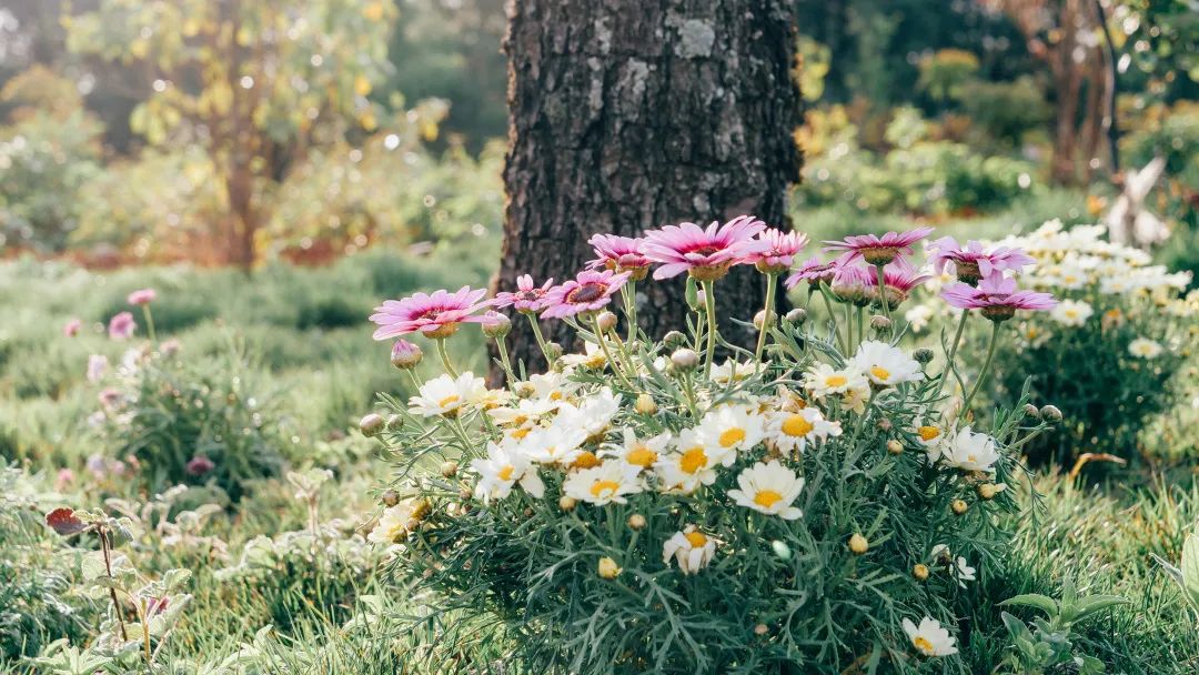 昆明阳宗海风景名胜区(微信)