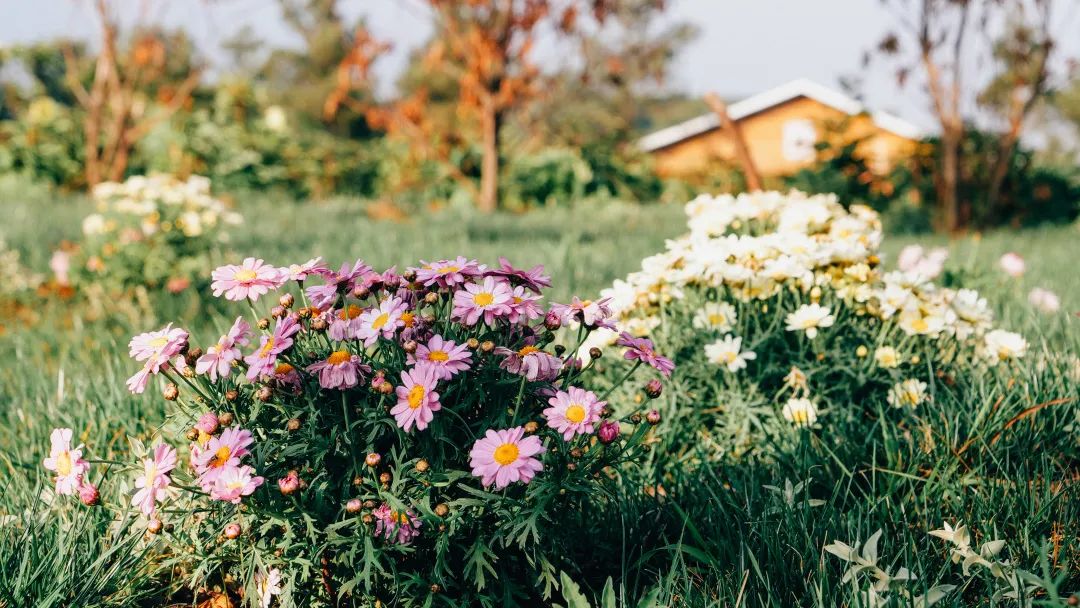 昆明阳宗海风景名胜区(微信)