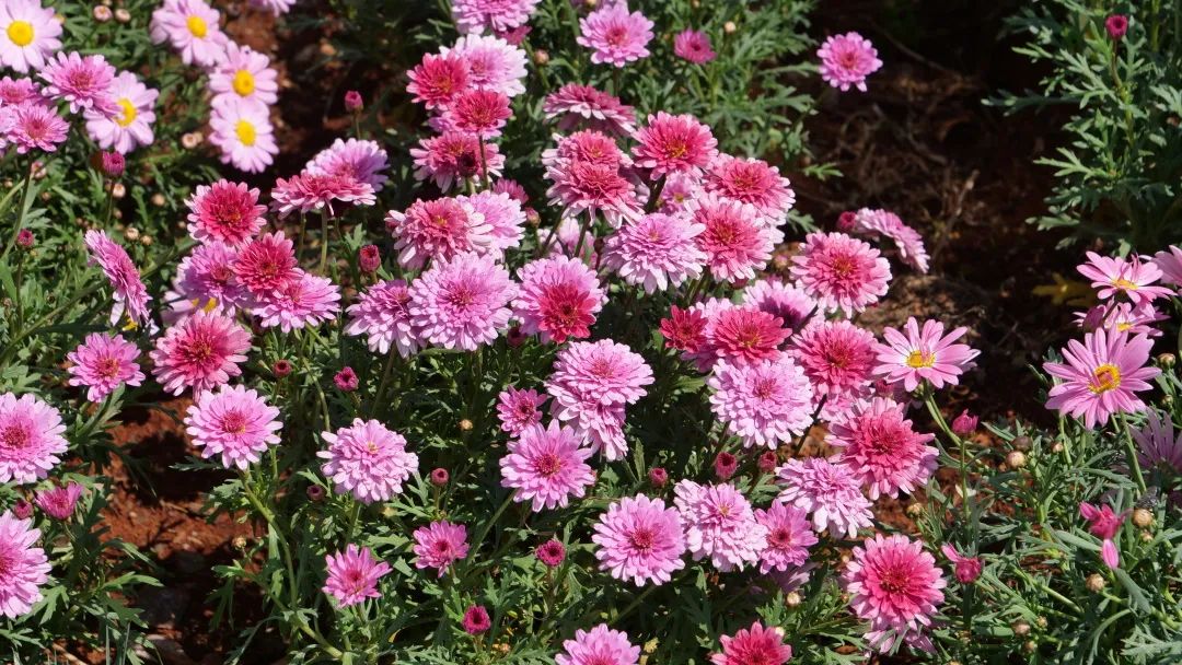 昆明阳宗海风景名胜区(微信)