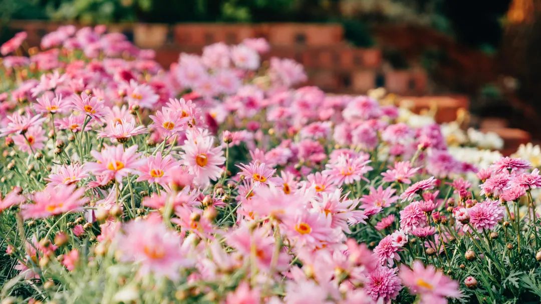 昆明阳宗海风景名胜区(微信)