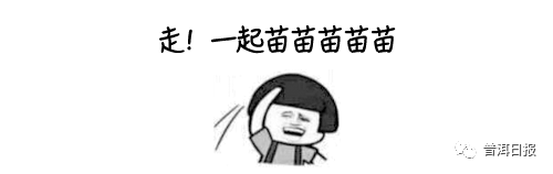 普洱日报(微信)