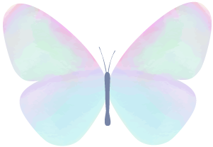 红河学院(微信)